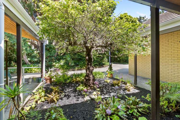 42 Armitage Road Wellsford_25