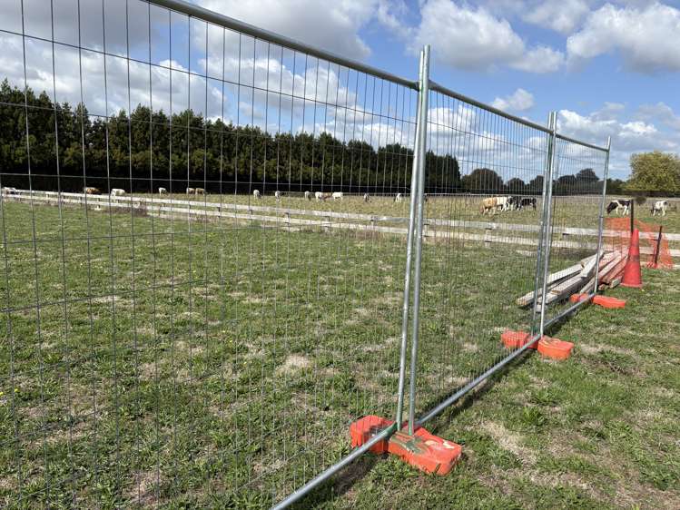 6 Bowman Road Matamata_8