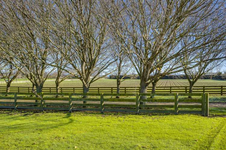 637 St Georges Road South Havelock North_26