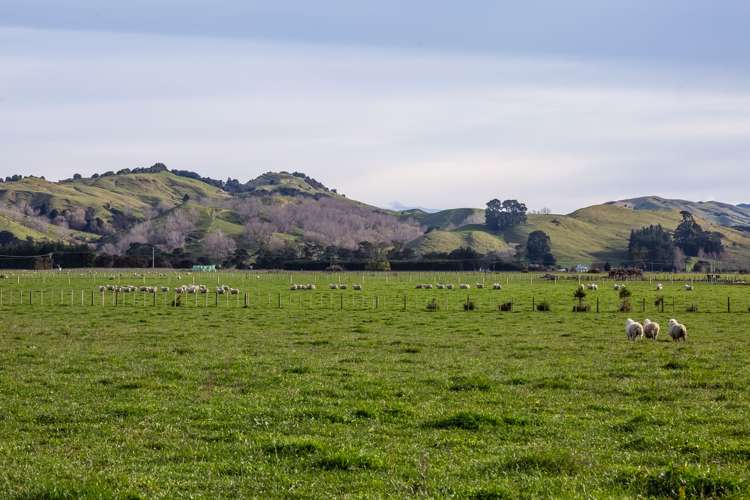 Lot 7 Opaki Kaiparoro Road Masterton_13