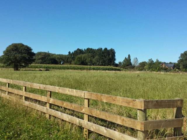 107 Birchwood Lane Tamahere_3