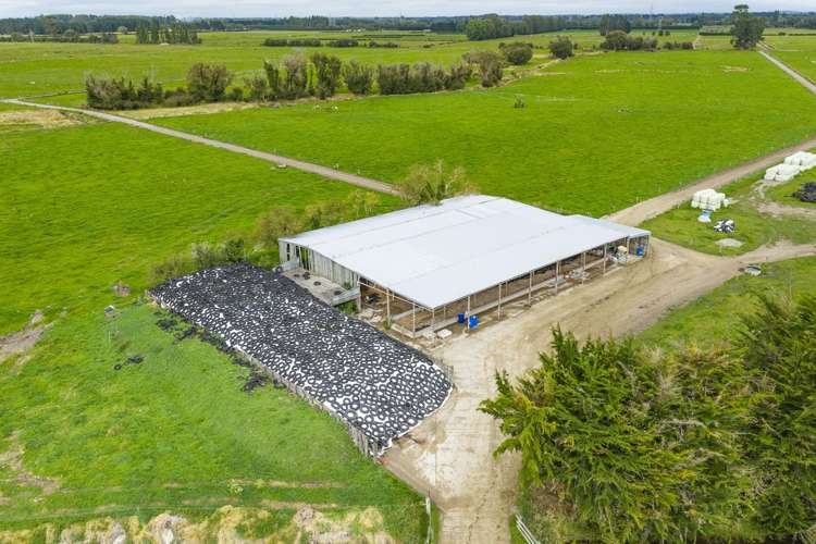 249 Plaskett Road Fernside_12