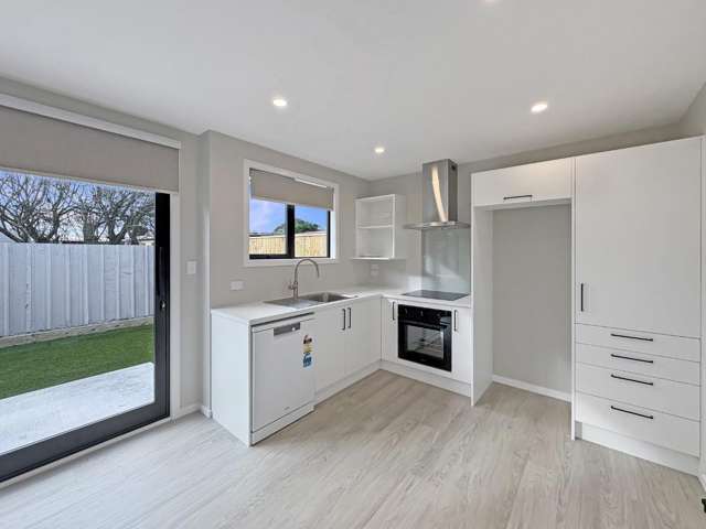 86A Hinau Street 1200_3