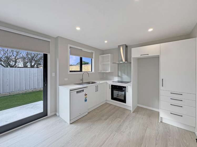 86A Hinau Street 1200_3