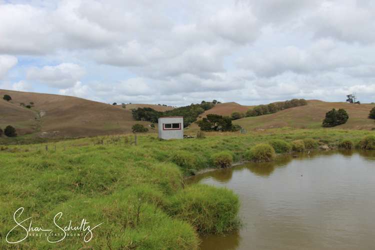 215c Heatley Road Whakapirau_19