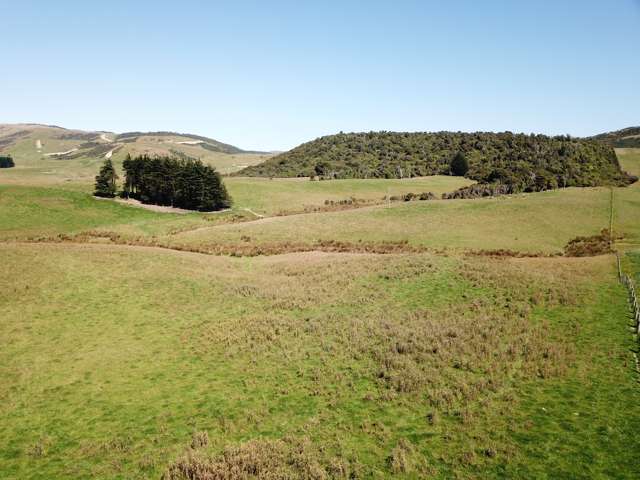 290 The Nuggets Road South Otago Coastal_3