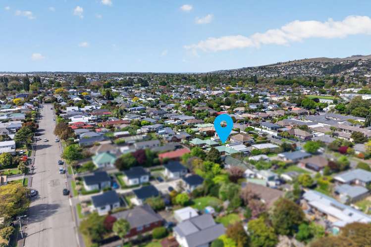 5 Nina Lane Somerfield_6