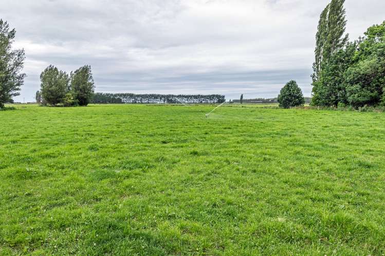 94 Brogdens Road Lowcliffe_11