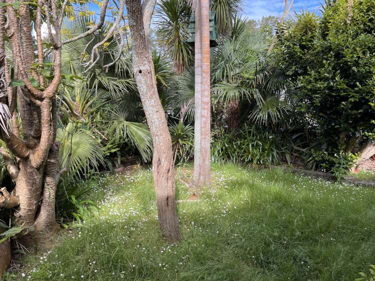 19 James Mcleod Road Shelly Beach_13