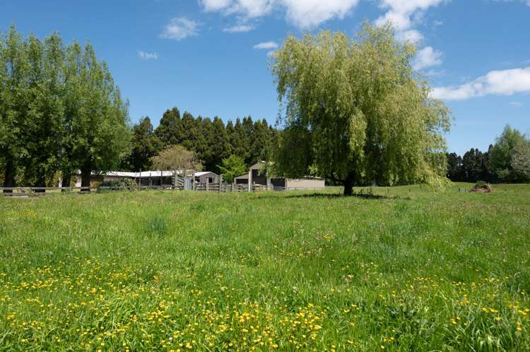 139 Te Puea Road Tikitere_20