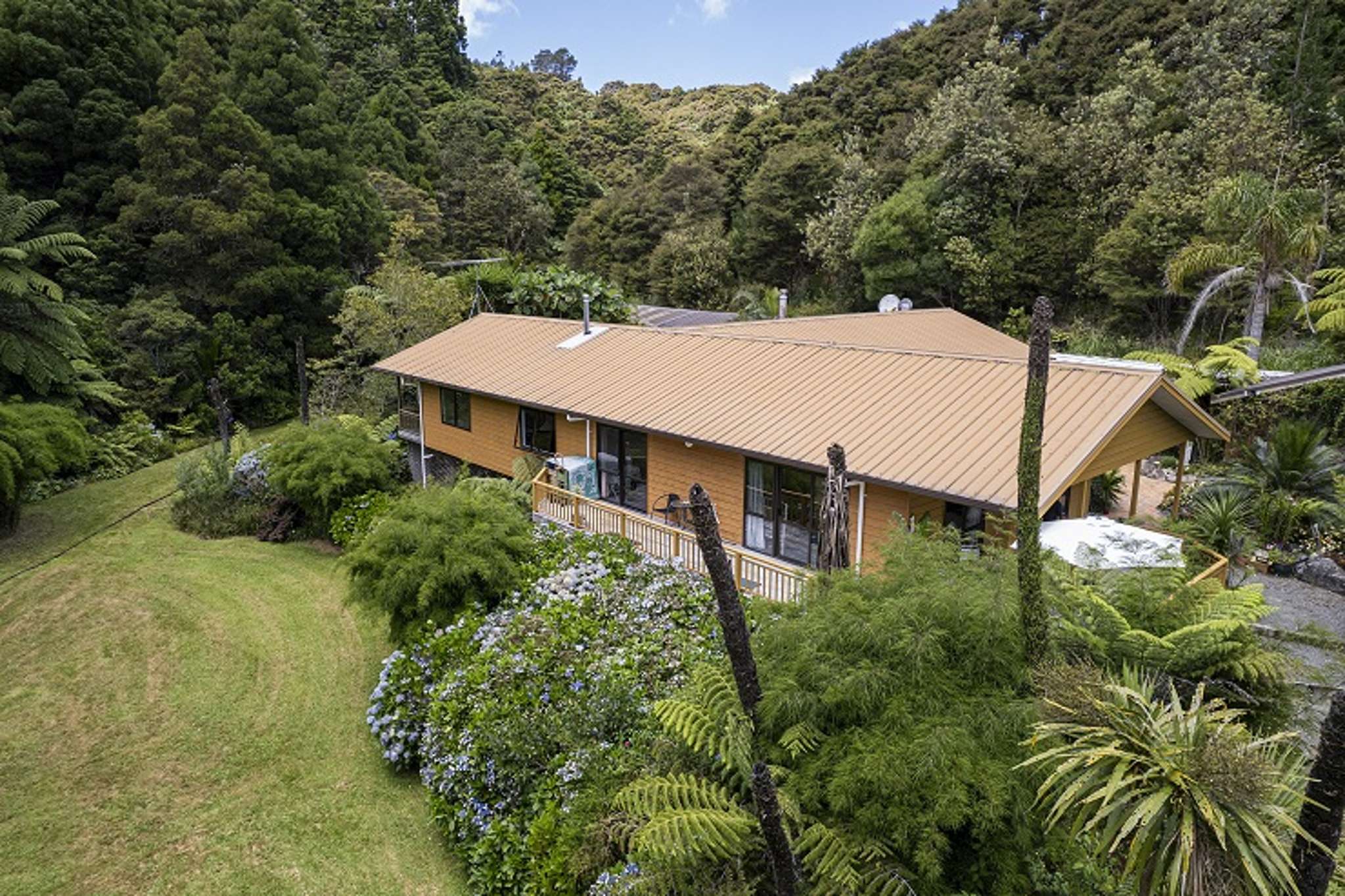 Semi-retired scientist quits Auckland to buy remote commune with 21 waterfalls