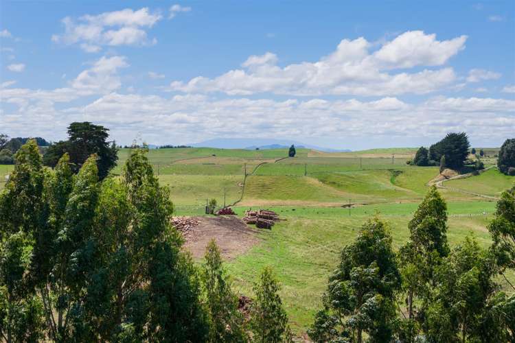 189 Griffins Road Marton_38