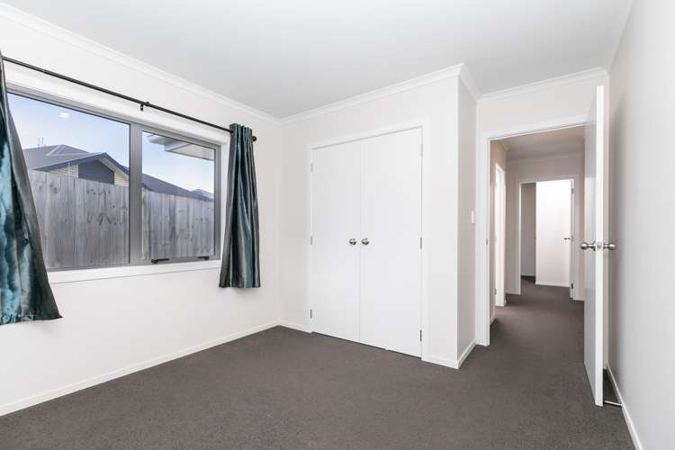 42 Tupelo Street Pukete_6