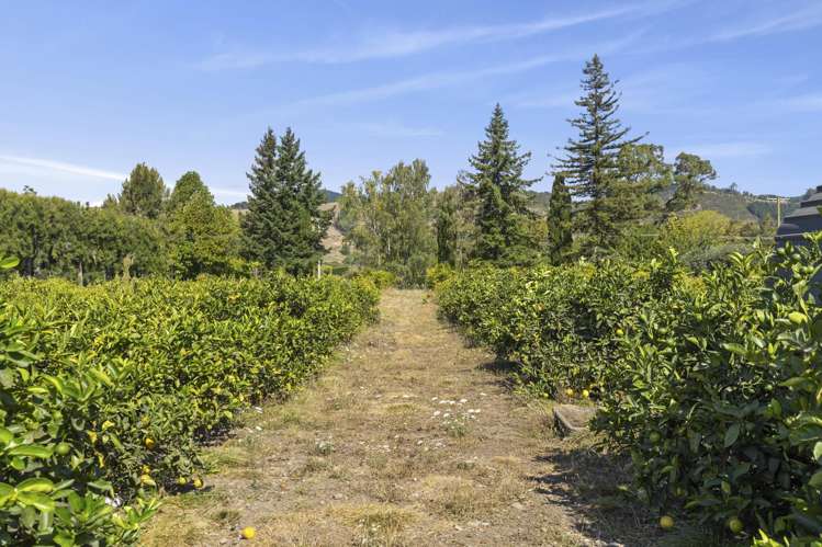 444 Paton Road Hope_28