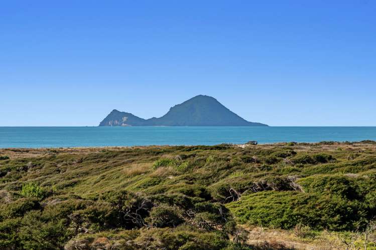 1030 Thornton Road Matata_35