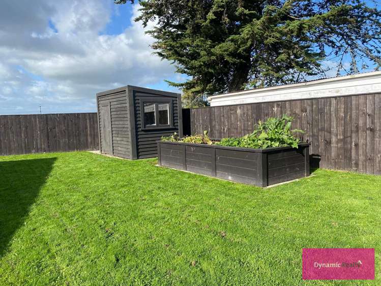 15 George Street Bulls_21