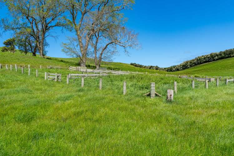 Lot 4 Palmerston-Waikouaiti Road Waikouaiti_5