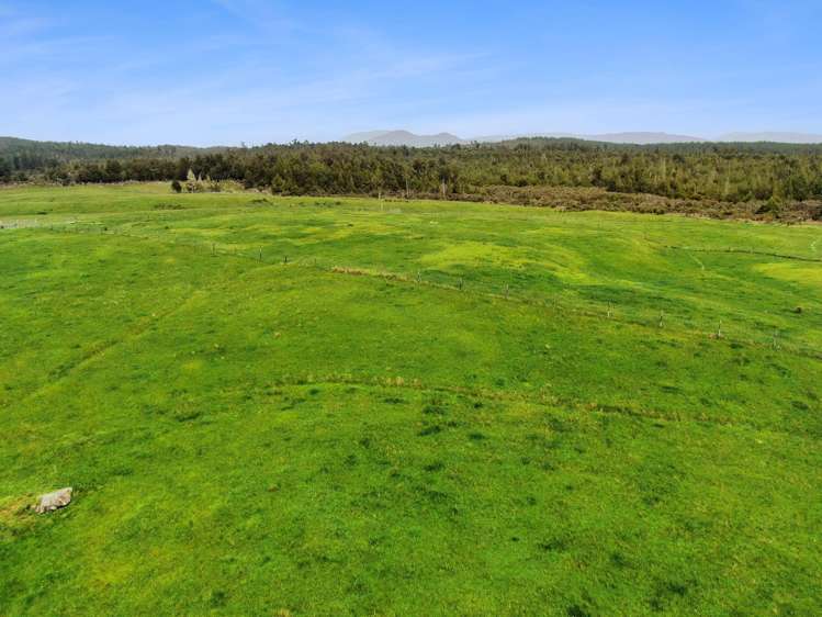 Lot 1 DP3404 Woodstock-Rimu Road Ruatapu_11