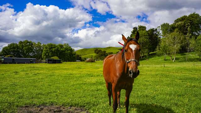 8276 Paeroa-Kopu Road Paeroa_2