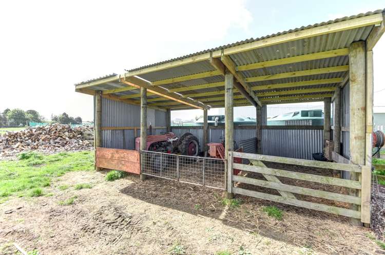 91 Bushy Park Road Kai Iwi_6