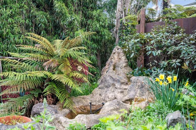 11 Rawlings Lane Somerfield_21