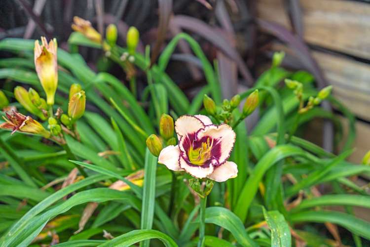 37 Shoemaker Road Waipu_19