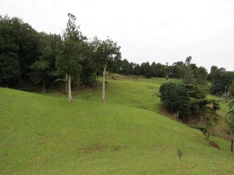 747a No 4 Road Te Puke_11