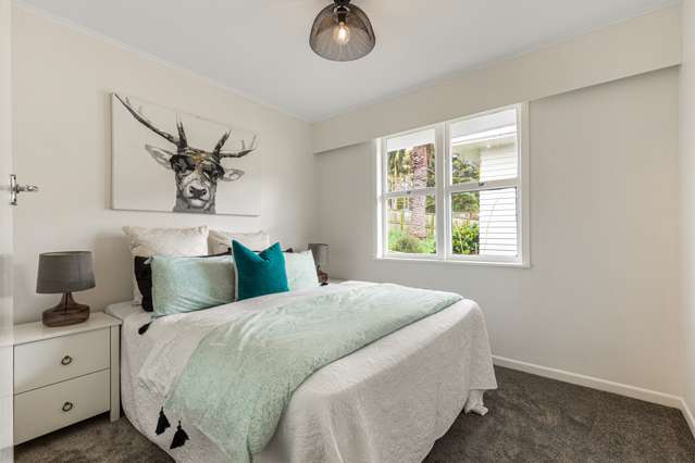 20 Subritzky Avenue Mount Roskill_3