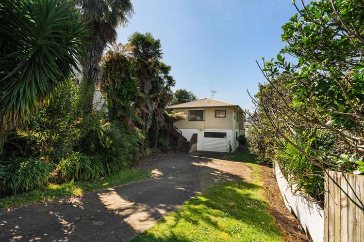 19 Ninth Avenue Tauranga_17