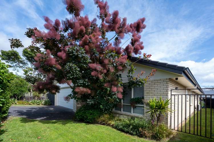 9 Holland Street Glenholme_20