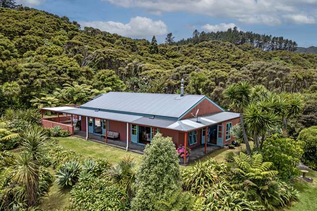 206 Colville Road Coromandel_2