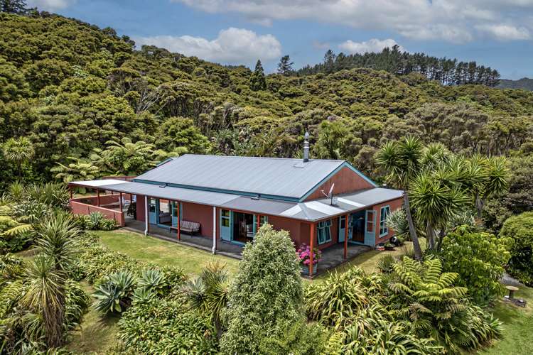 206 Colville Road Coromandel_1