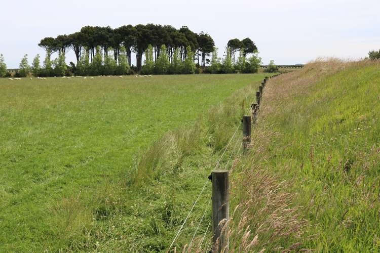 358 Holz Road Wyndham Surrounds_20