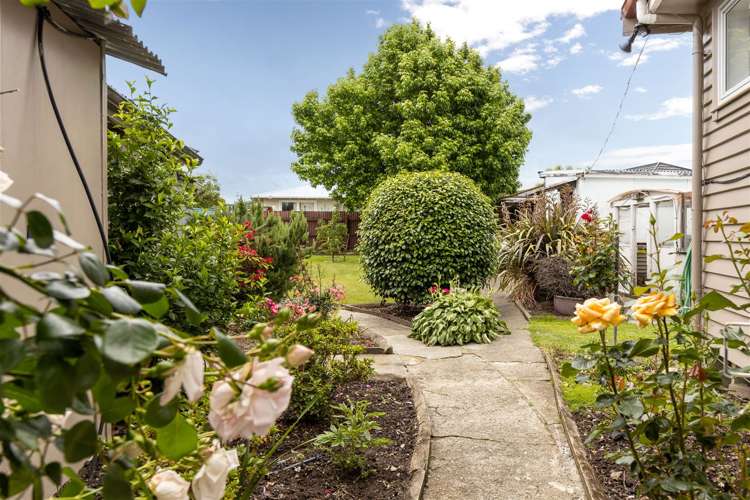 196 Maxwell Road Redwoodtown_17