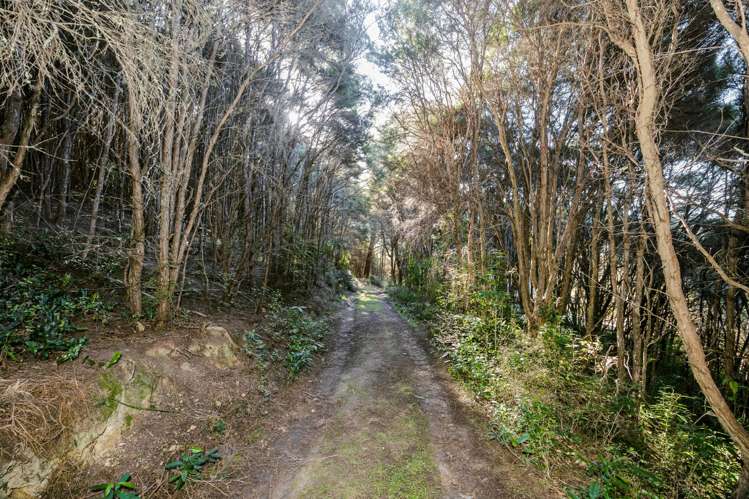 Section 24 Duncan Road Hampden_9