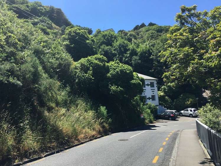 73 Garden Road Northland_1