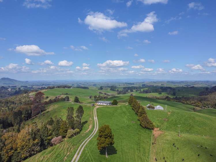 870 Mangati Road Pirongia_1