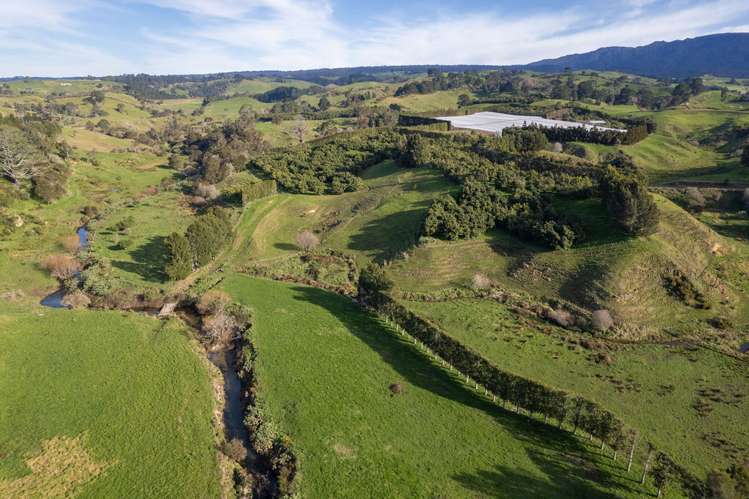 231 Walford Road Aongatete_1