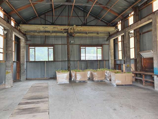 59 Rimu Street Strandon_4