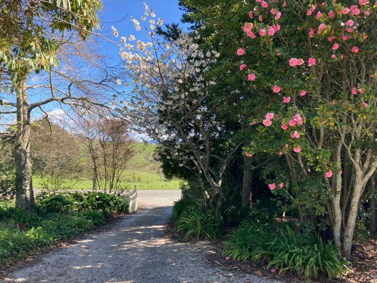 166 Kelling Road Upper Moutere_19