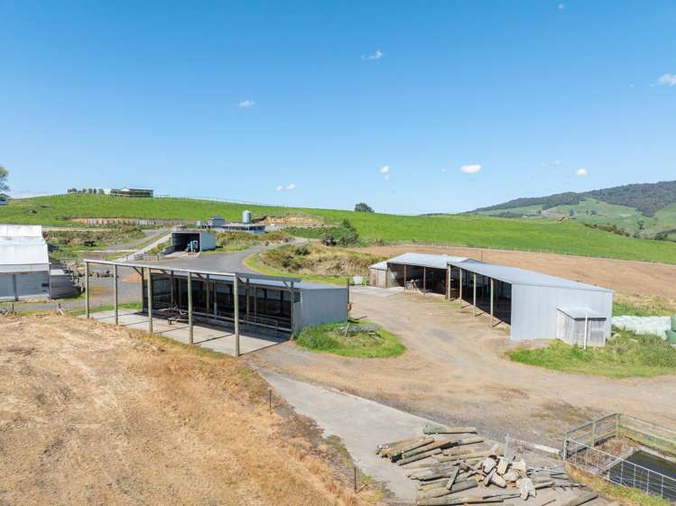 231A Morgan Road Matamata_14