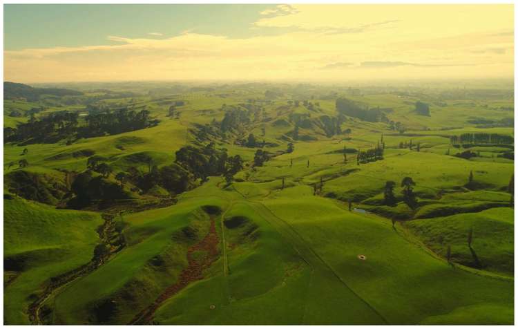 9 Tahawai Crescent Matamata_13