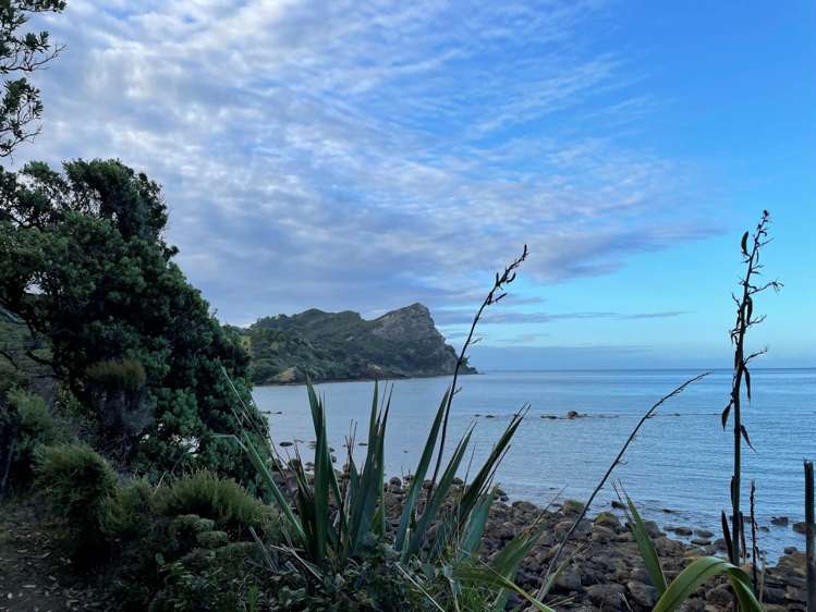 349 Blind Bay Road Great Barrier Island_35