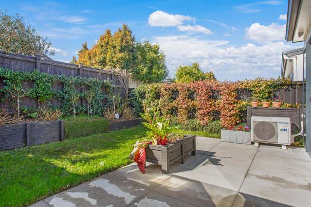 51 Lusitano Drive Karaka_2