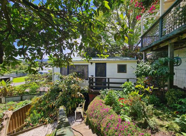 1225 Rings Road Coromandel_4