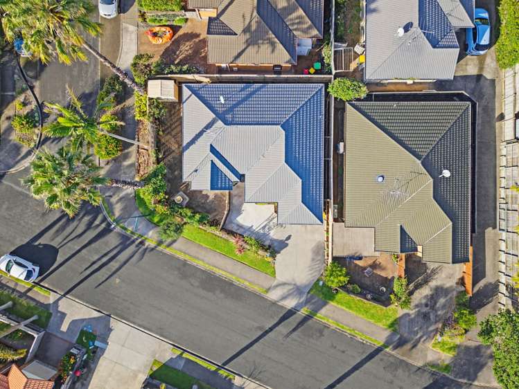 6 Red Hibiscus Road_1