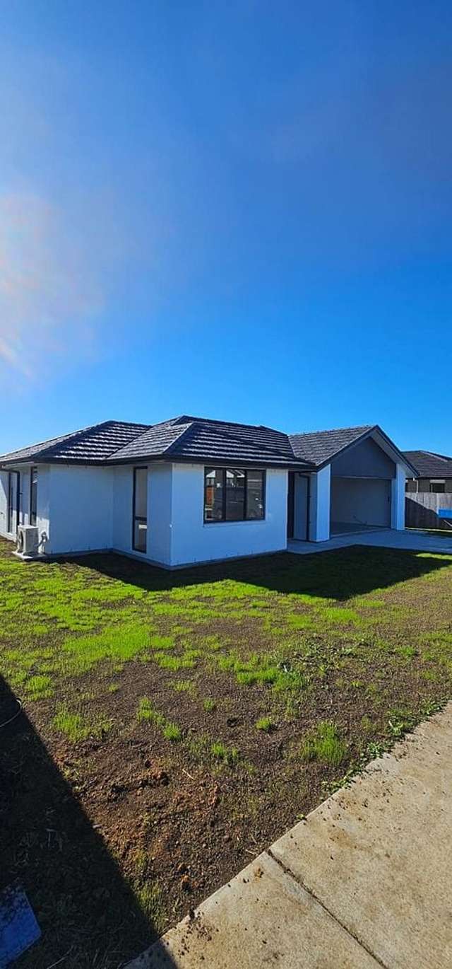 Brand New 4BR Home!