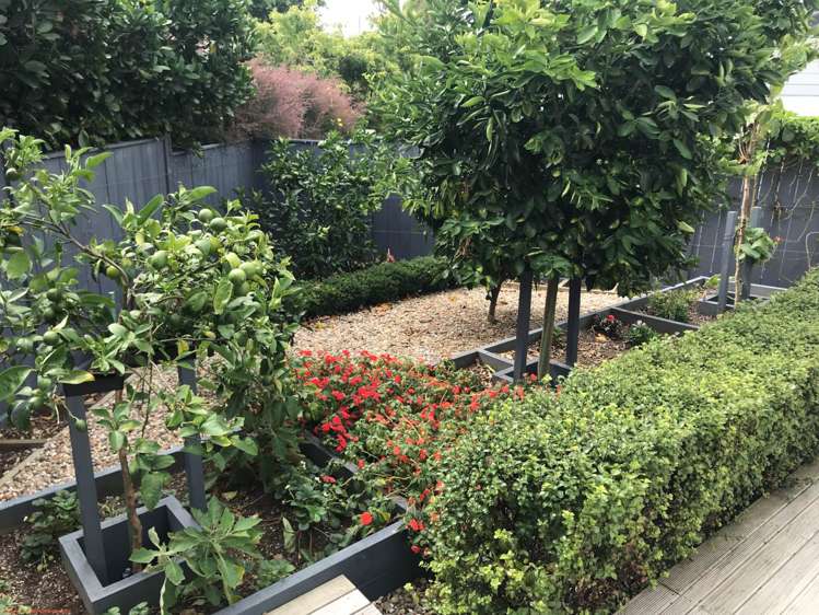 11 Atalanta Way Beachlands_13