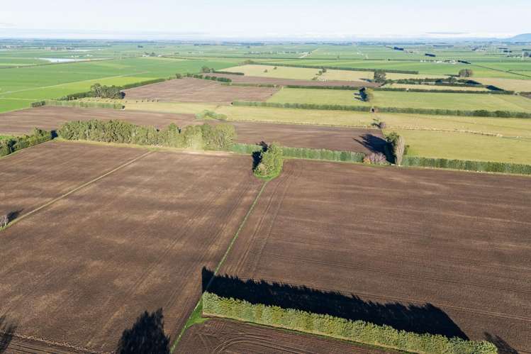 89 Chisnalls Road Hinds_8