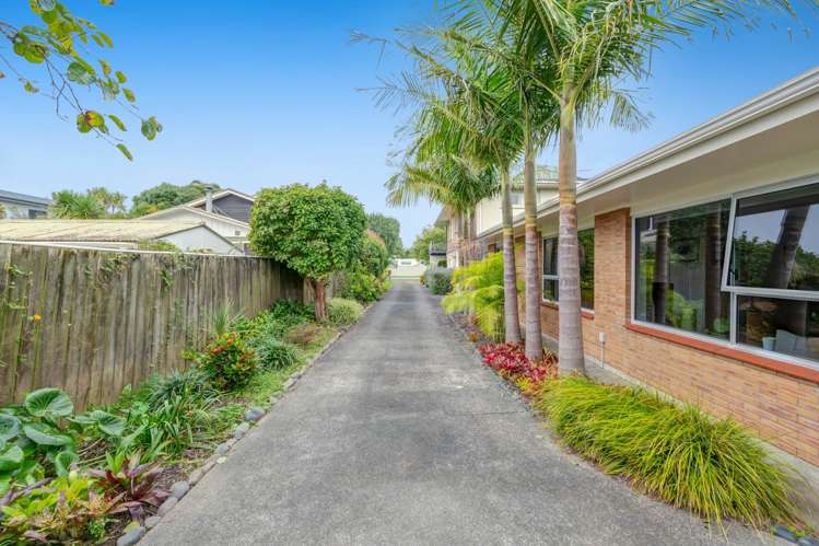 42B Manly Park Avenue Manly_12